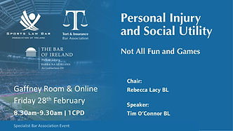 Joint SLBA/TIBA: Personal Injury and Social Utility - Not All Fun And Games