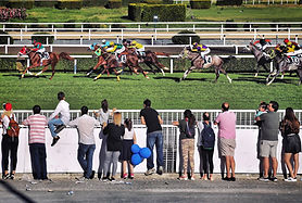 Gambling Regulatory Regime: Impacts and Future Challenges in Sport, Gambling and Gaming