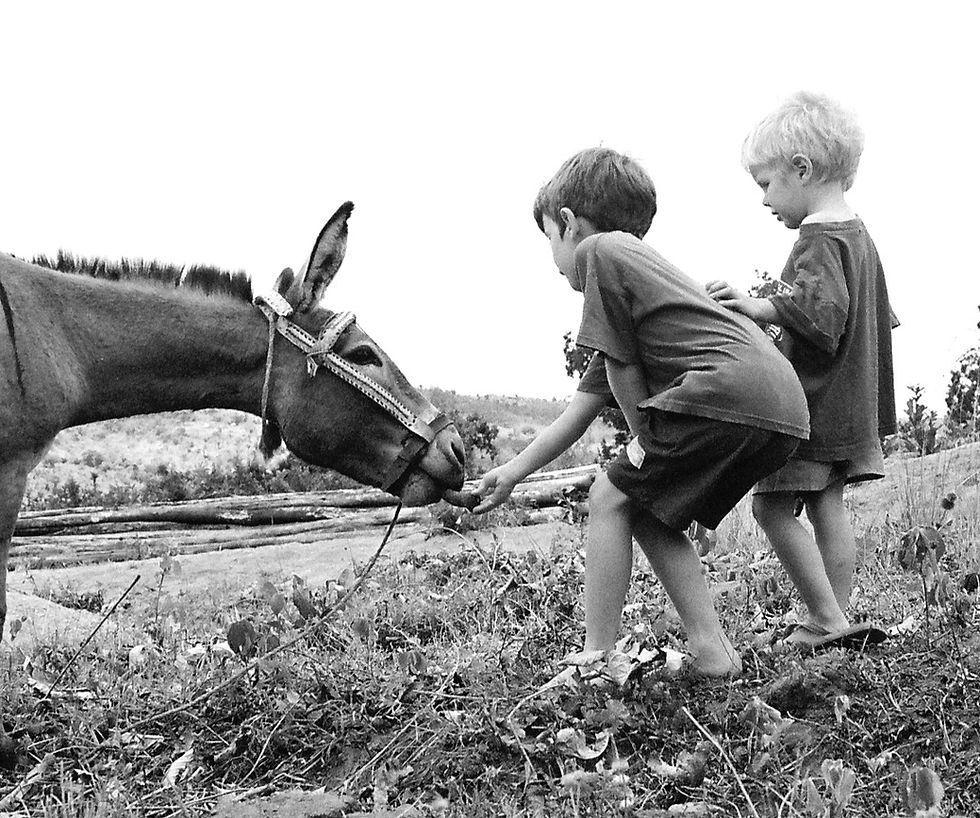 You are more important than me