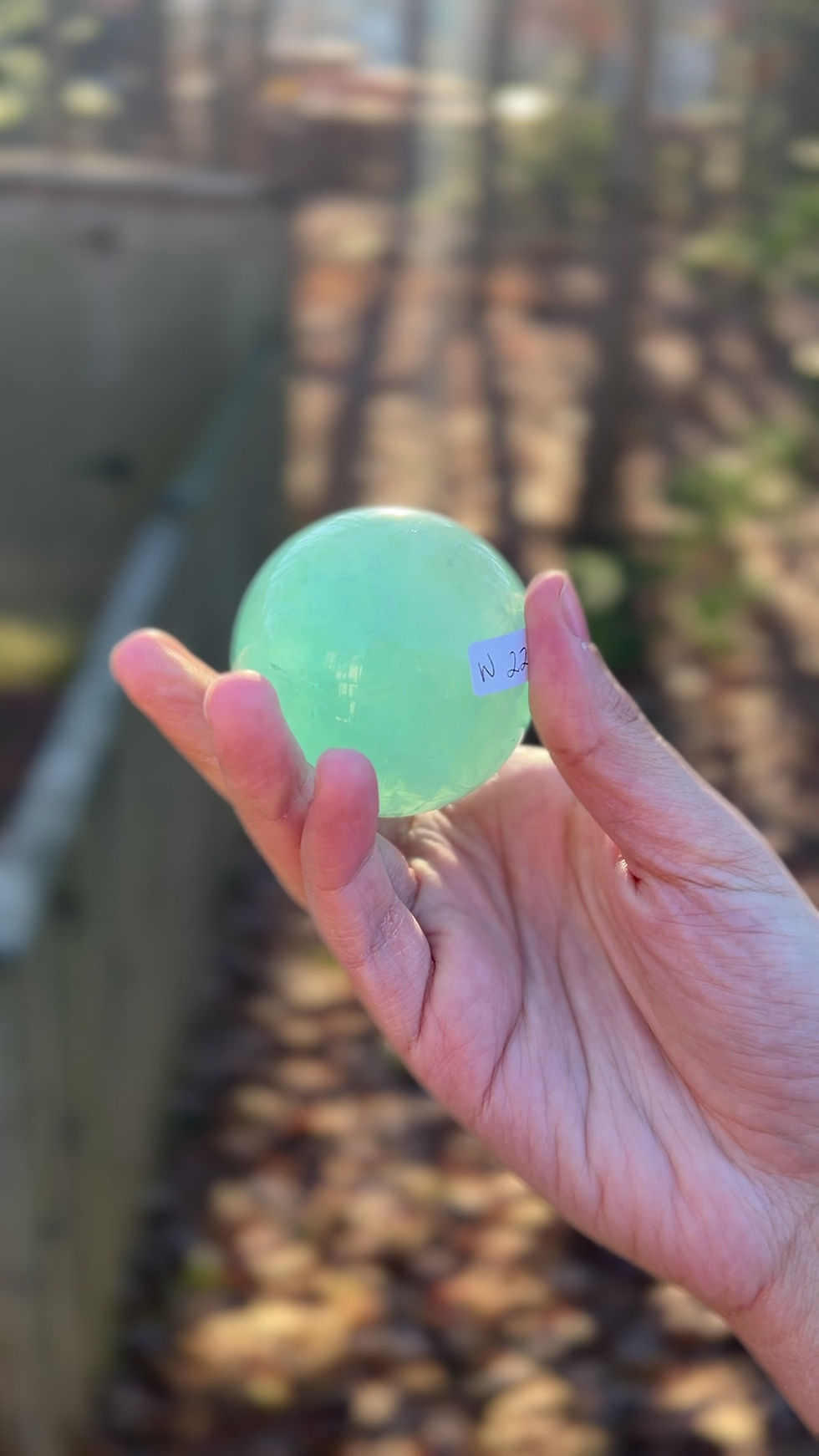 Thumbnail: Fluorite Sphere