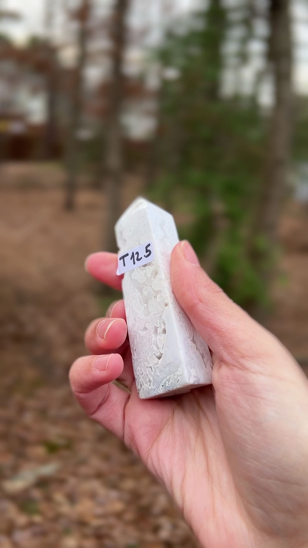 Thumbnail: Snow Agate Tower