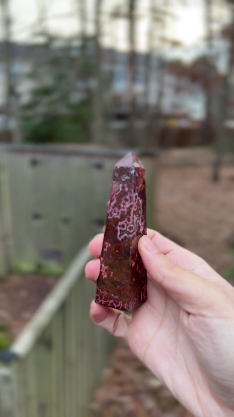Thumbnail: Red Orbicular Jasper Tower