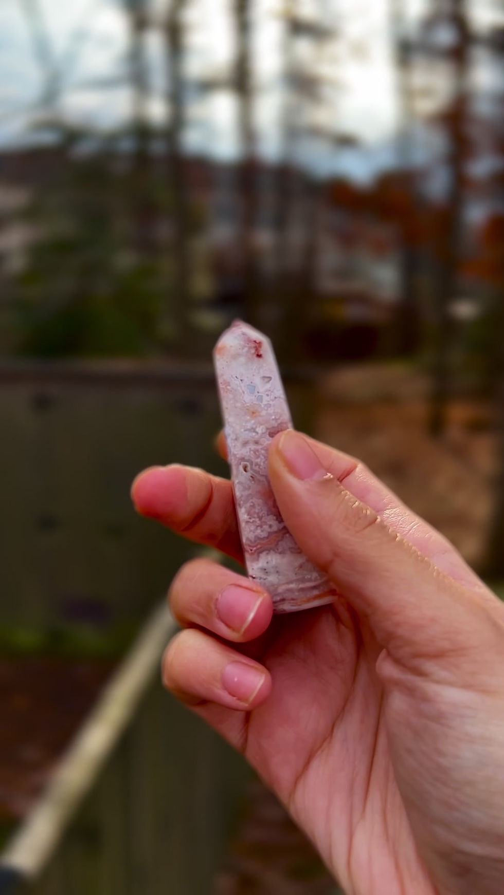 Thumbnail: Pink Crazy Lace Tower