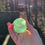 Thumbnail: Green Fluorite Sphere