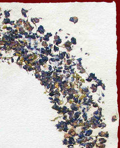 תמונה ממוזערת: שמחה