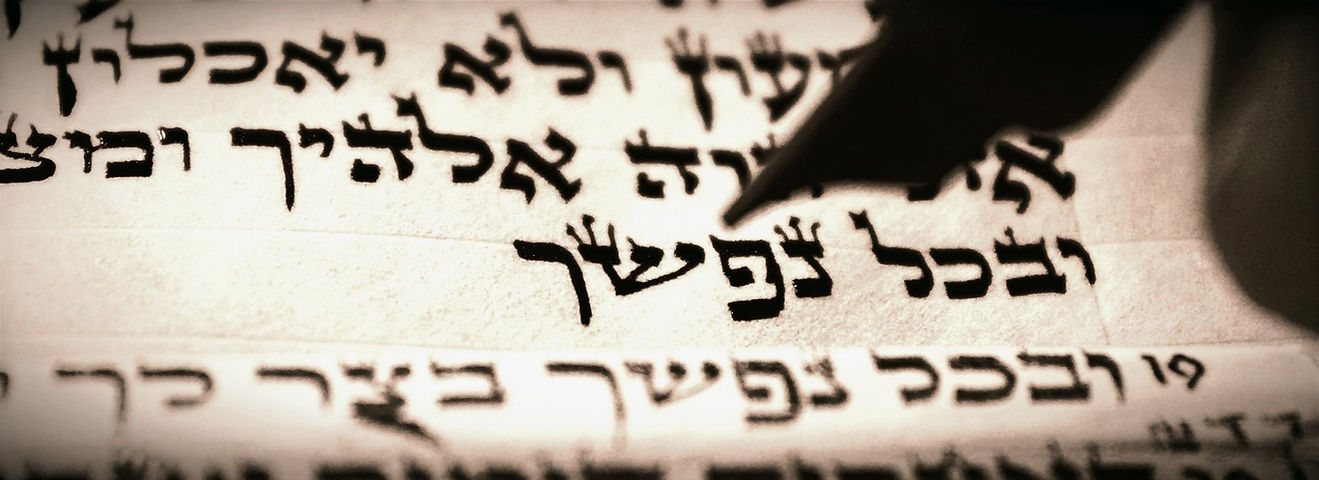 header_welcome_jamie_shear_edited_edited