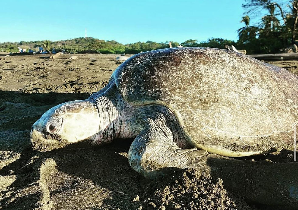 Best Time to Visit Costa Rica (What Each Season Is Really Like)