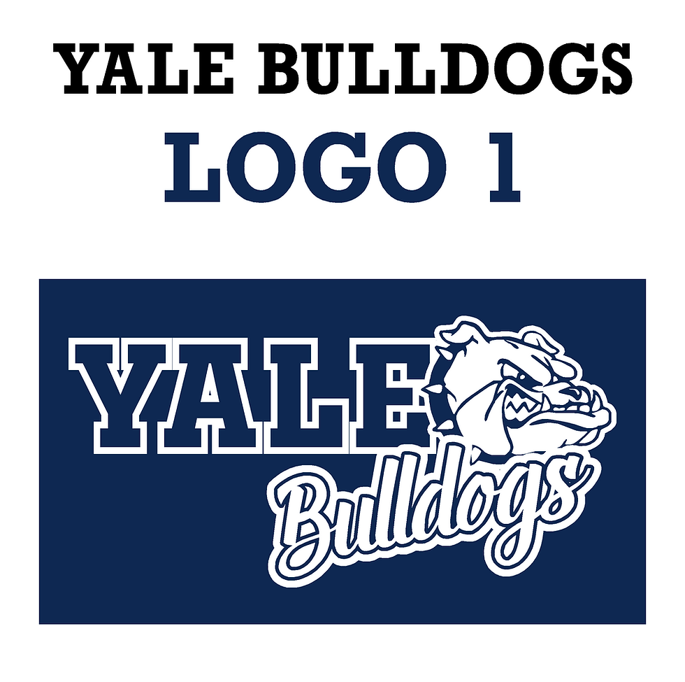 Thumbnail: YS - Navy Crewneck ScreenPrint