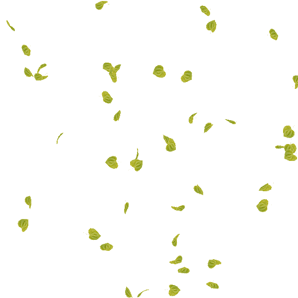 55dac724a4fa886a05253c6956ba1436.gif
