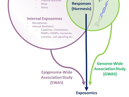 1.4. Genome-Exposome Interactions: Unlocking the Chronic Illnesses Mysteries