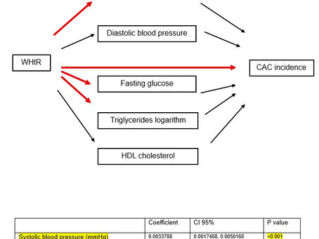 Beyond the Scale: Why Waist-to-Height Ratio Outperforms BMI in Predicting Heart Risk