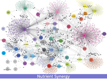 2.2 Nutrient Synergy: Moving away from the single nutrient approach.