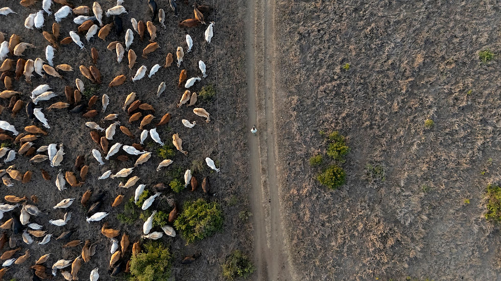 DJI_20250723161832_0204_D (2).jpg