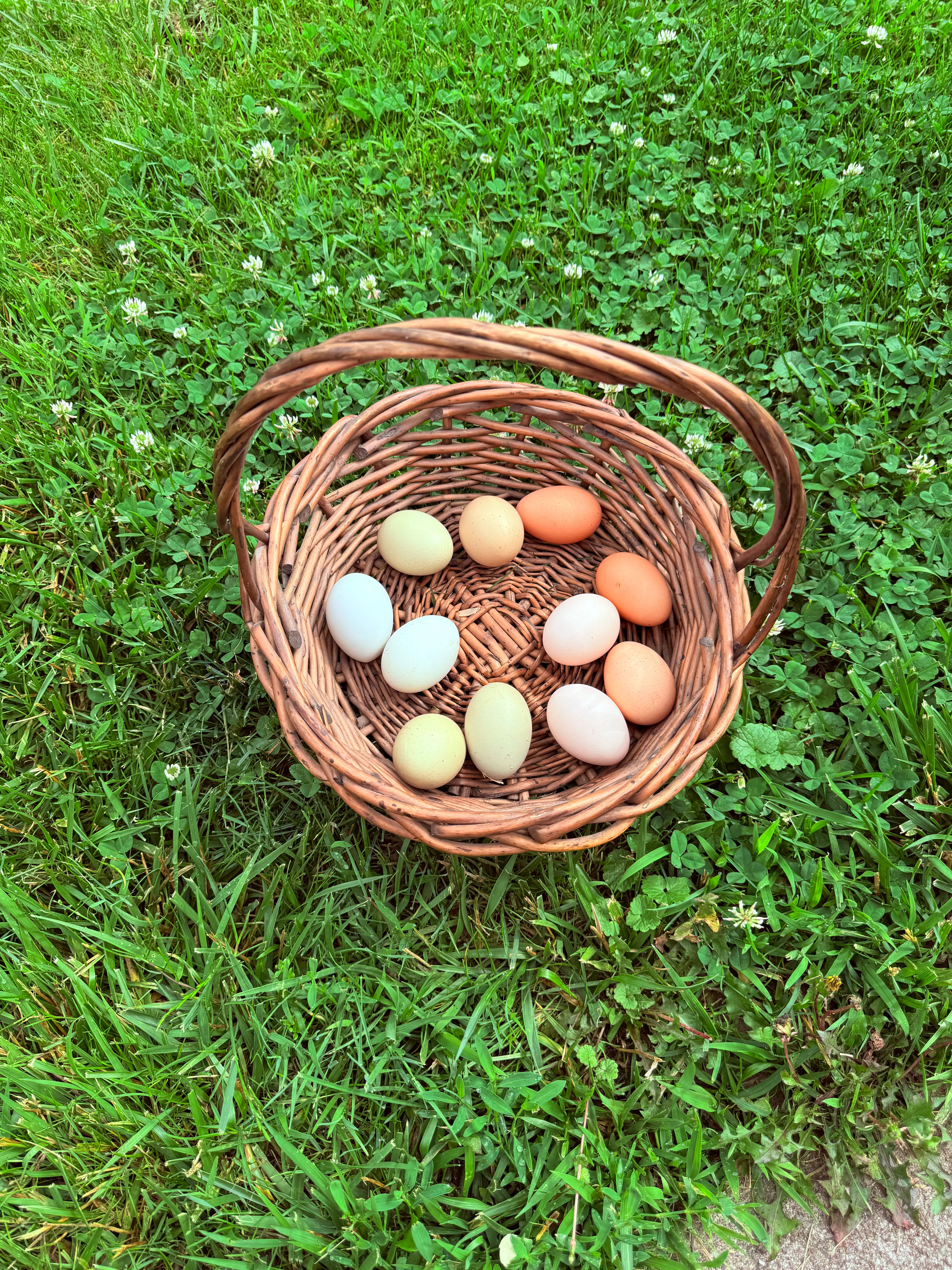 The Parcell Palette™ - The Wildflower Basket