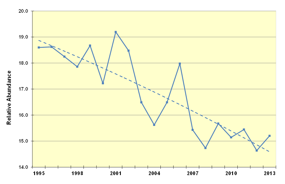 Bird Trends