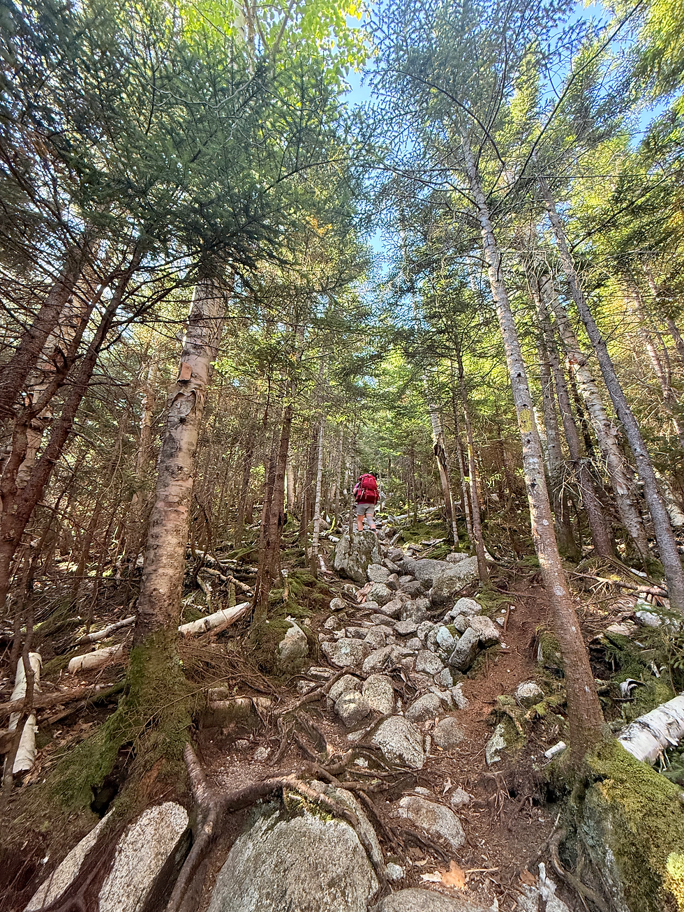 Ascending one of the switchbacks