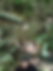 The first stream I was going to filter from