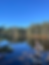 ree