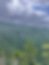 ree