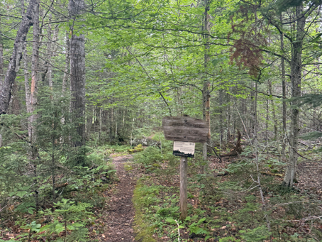 Sandwich via Algonquin and Smarts Brook | 7/13/25