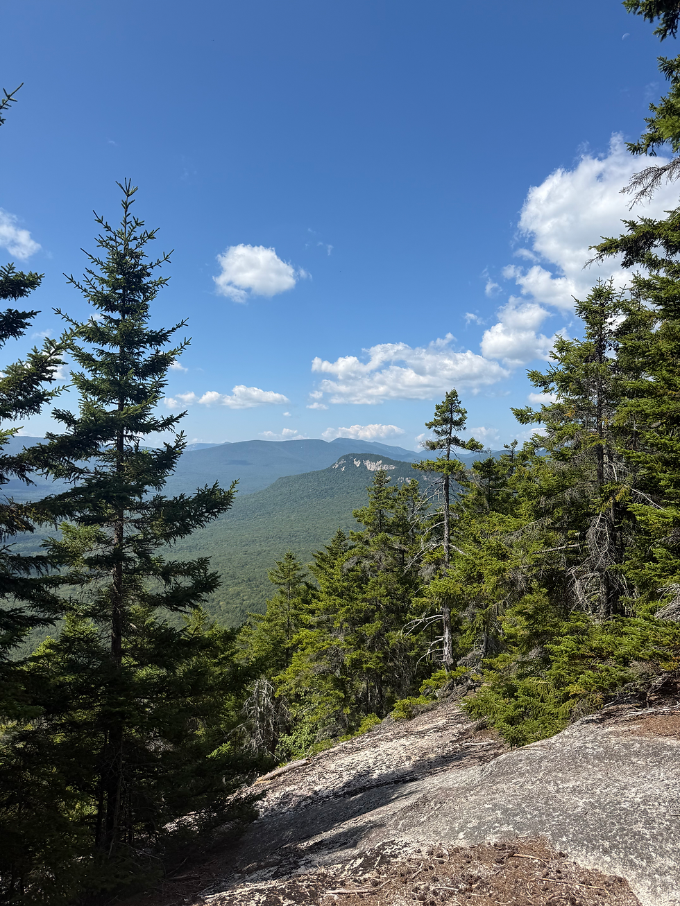 Green's from Owl Cliff