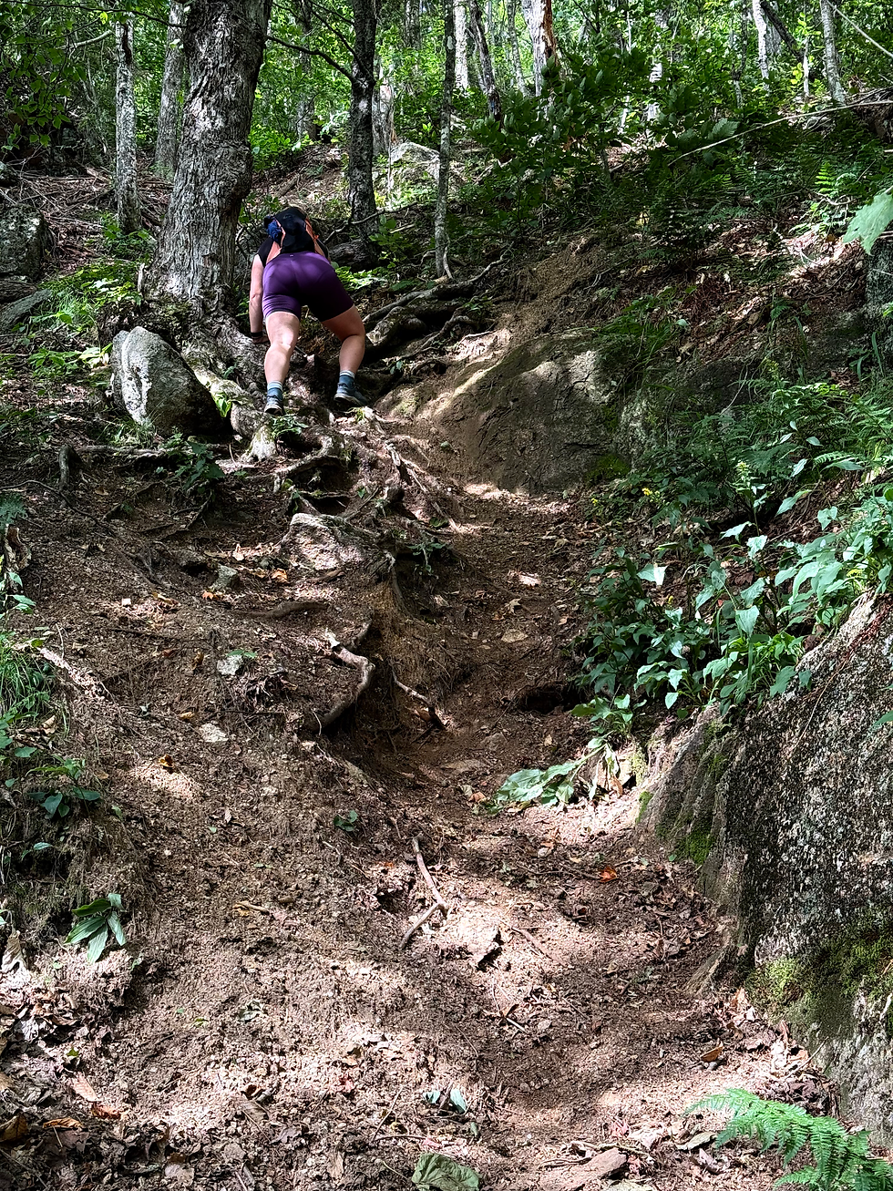 Whiteface via Tom Wiggins & McCrillis Trail | 8/16/2026