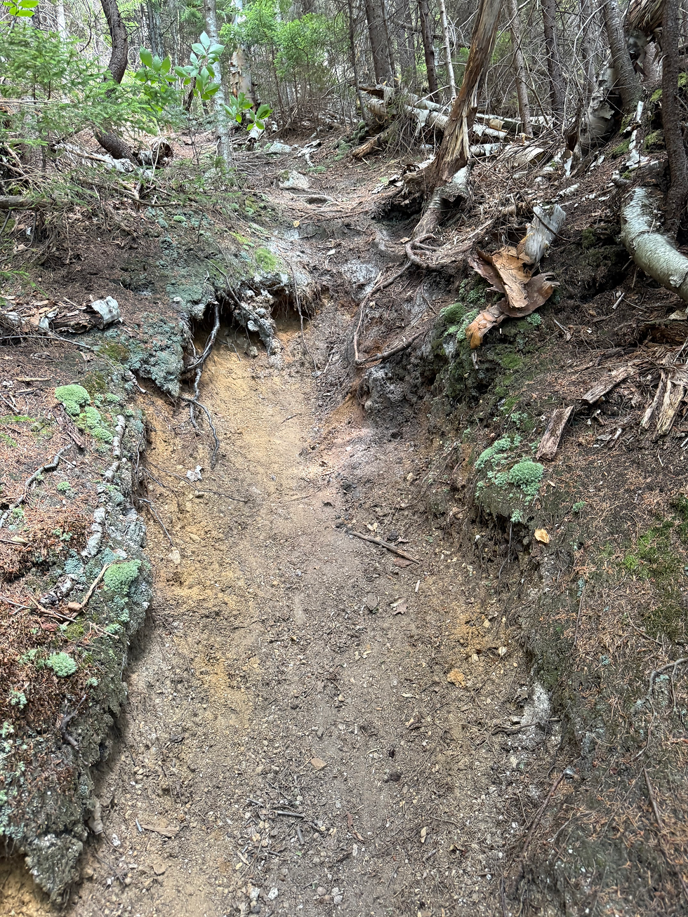 One of the dirt chutes, this one was after Owl's Cliff