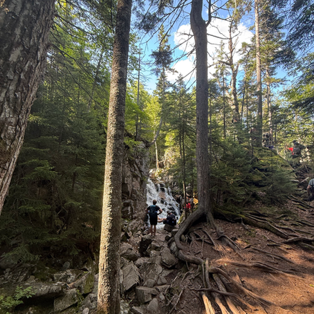 Franconia Cascades, Attitash Trail & Osceolas | 8/5/2025
