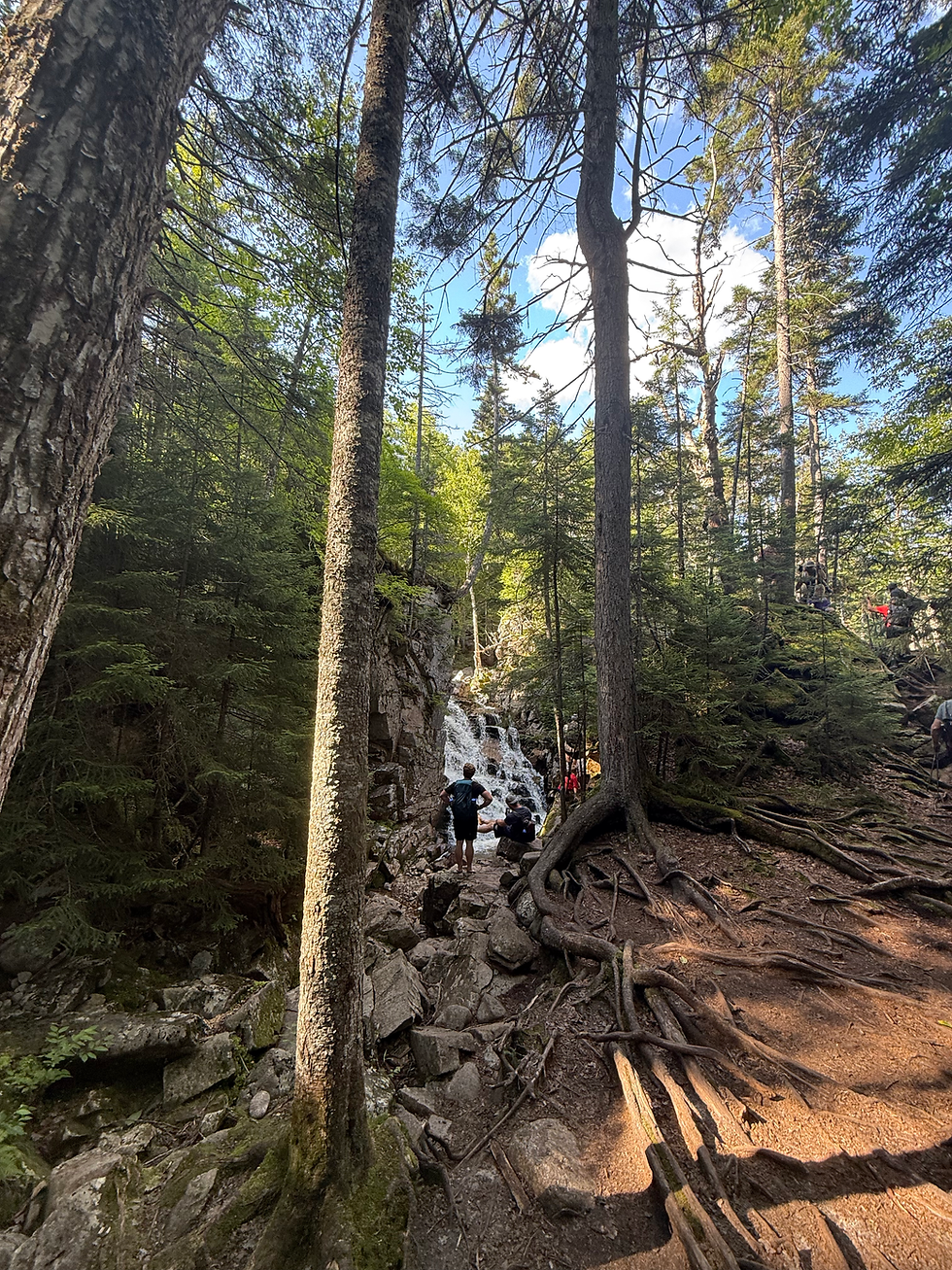 Cascades along Basin-Cascade Trail