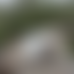 Coe, Brothers & Katahdin | 6/20/25