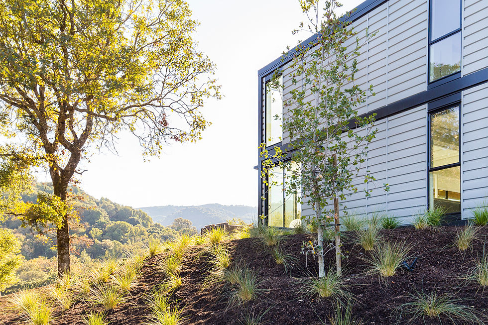 Connect Homes, Orinda