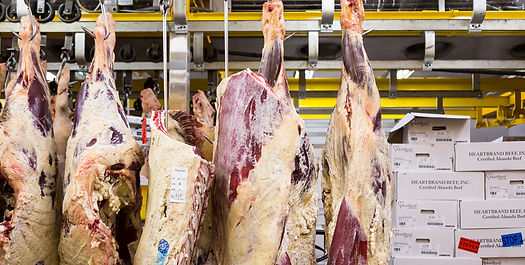 Golden Gate Meat Company, golden gate meat, best butcher, wholesale meat bay area, wholesale meat san francisco, organic meat, san francisco organic meats, best butcher shop, organic butcher shop