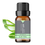 Thumbnail: My Aroma Aloe Vera Essential Oil Fragrance