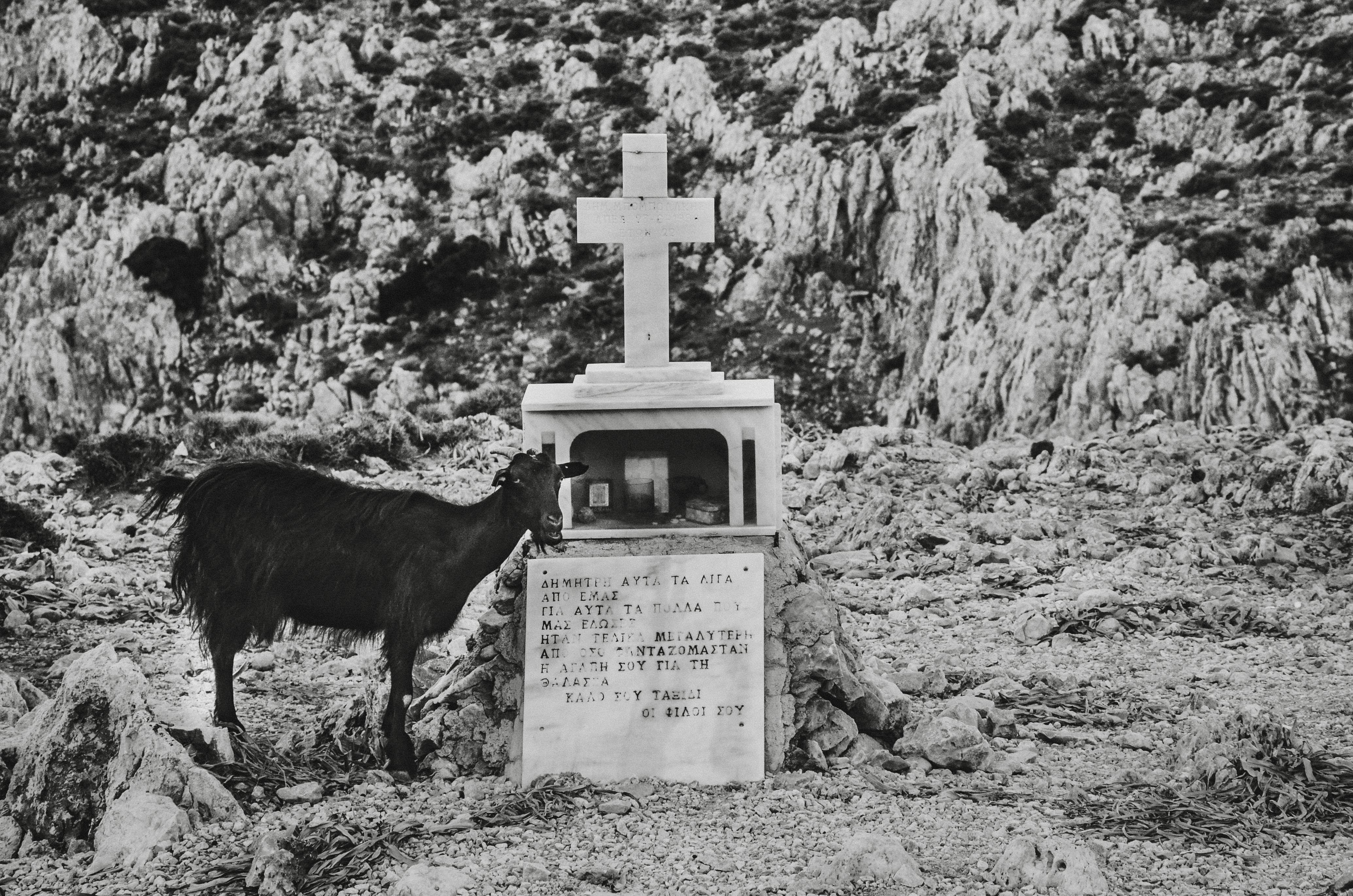 DSC_5488 2 copy.jpeg