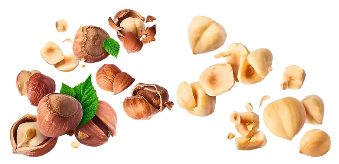 XO-ice - Hazelnut.webp