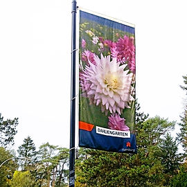 Farbenfrohe Herbsttage im Dahliengarten-Altona