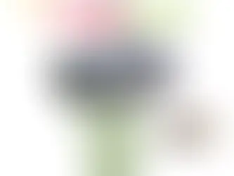 Début de la campagne de piégeage du frelon asiatique à Bouessay.