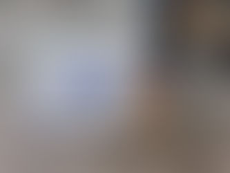ハトにお困りの方へ🕊