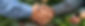 YouTube banners (1)_edited.jpg