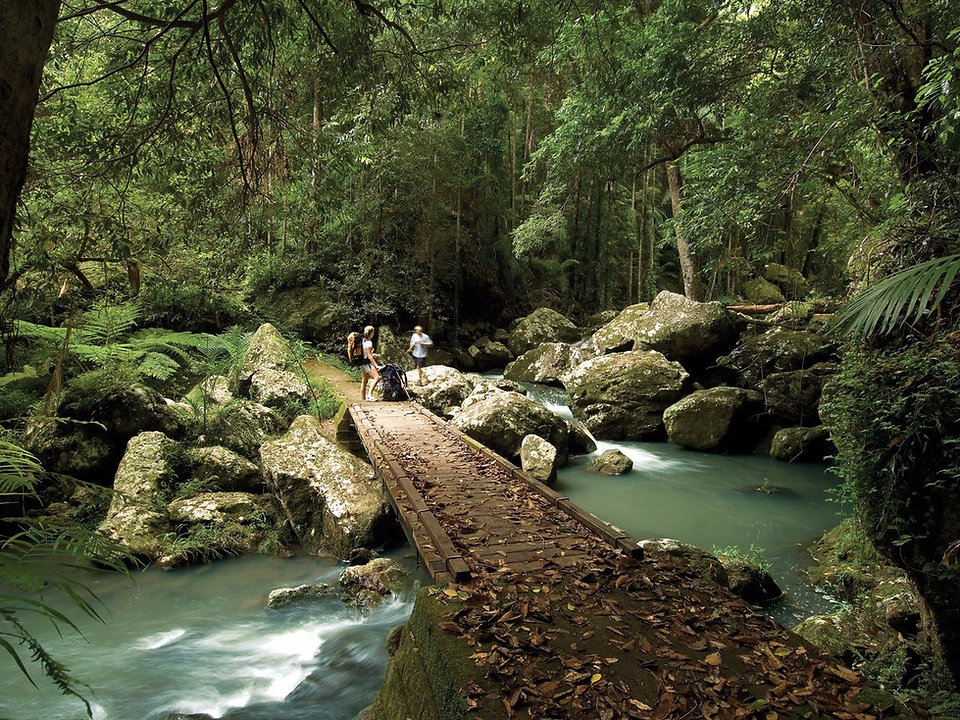kondalilla falls boardwalk.jpeg