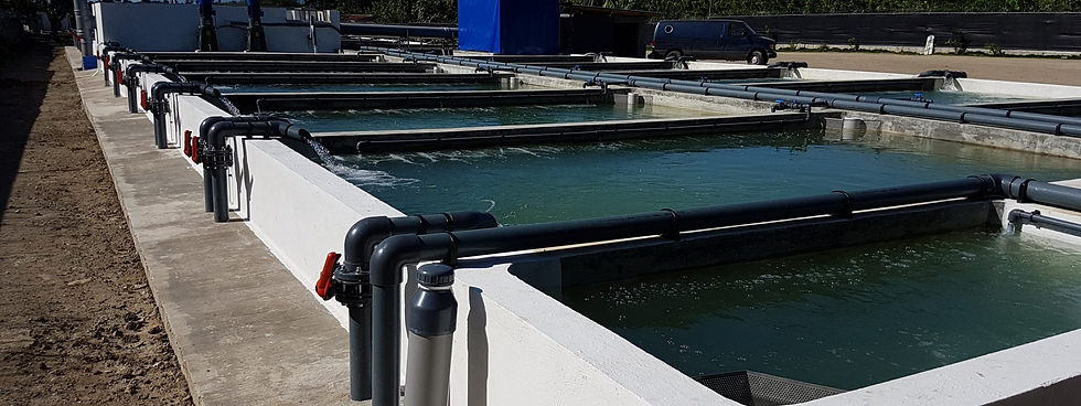 CONCRETE lectangle tank.jpg