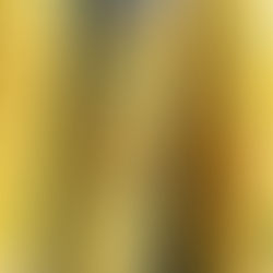 Gebratene Maiskolben