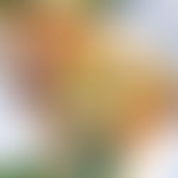 Süßkartoffel mit Champignons und Avocado-Creme