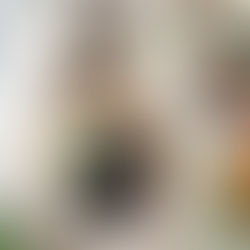 Veganer Beluga Kaviar 