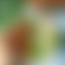 Soja-Hack-Pfanne mit Fenchel-Kartoffel-Püree