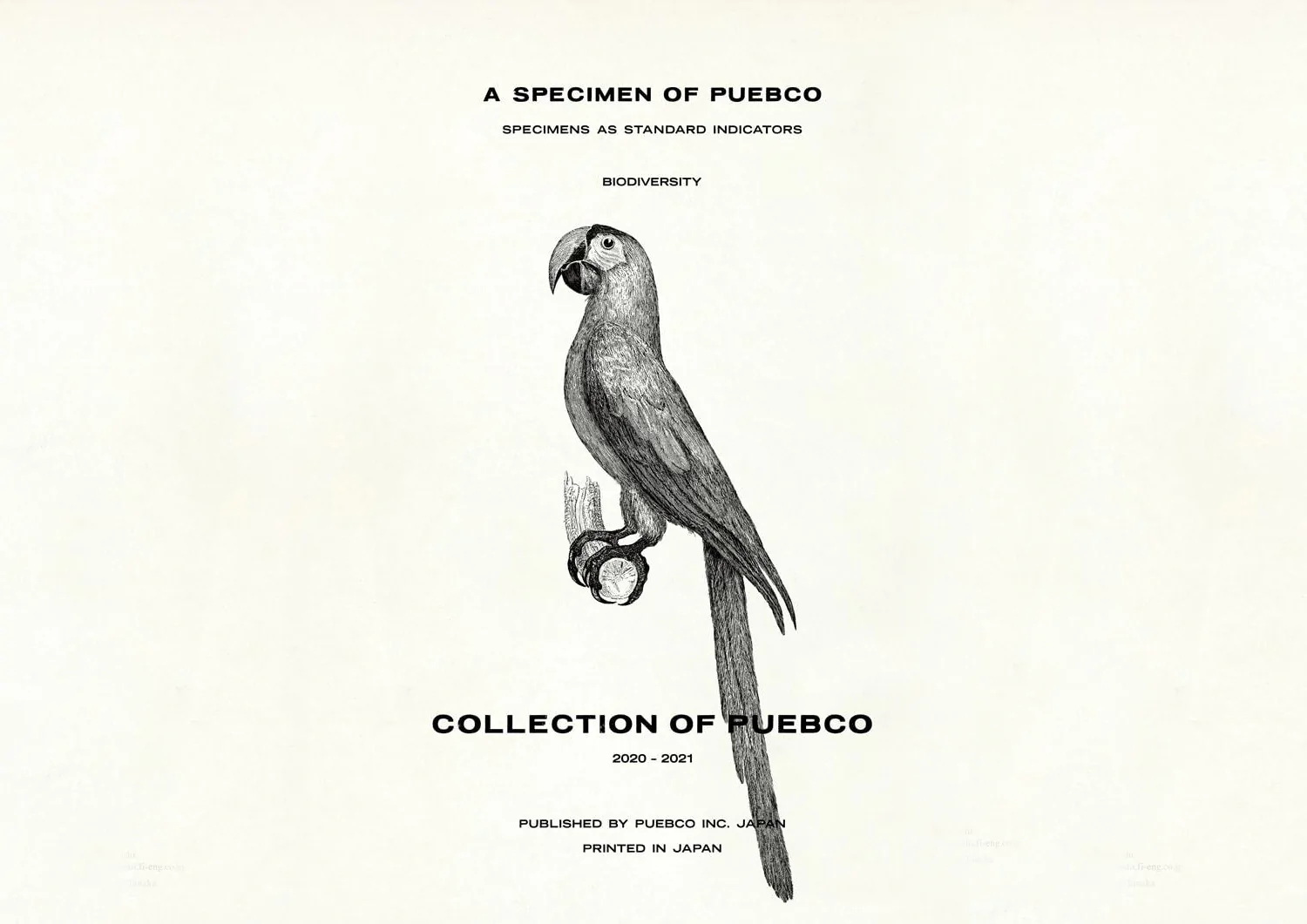 catalog_coverfront.webp