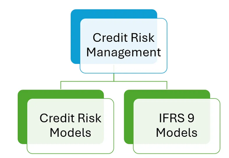 Exploring Credit Risk and IFRS 9 Models: A Deep Dive into Loan Credit Risk Analysis