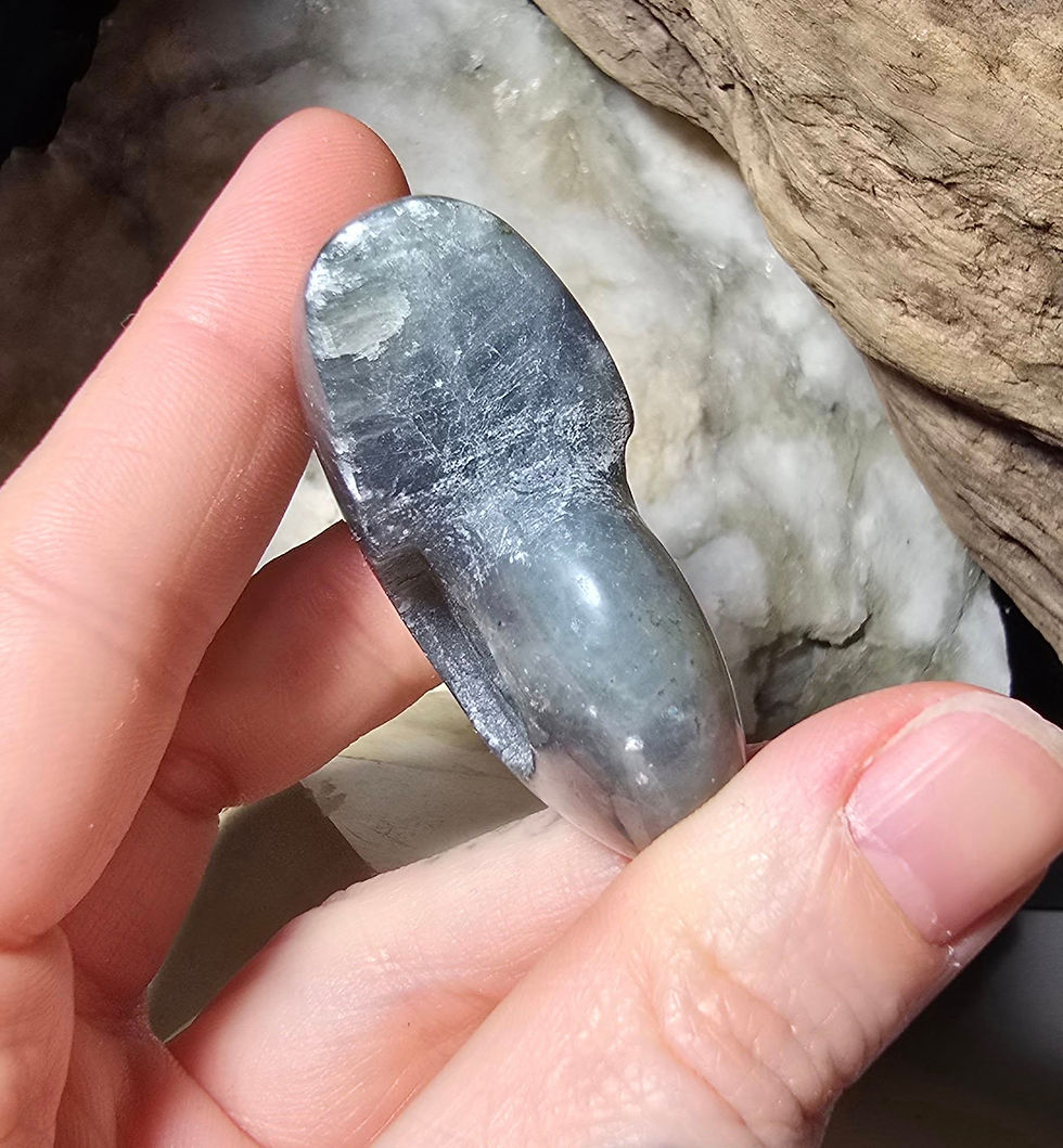 Thumbnail: labradorite ammonite carving hand held side view