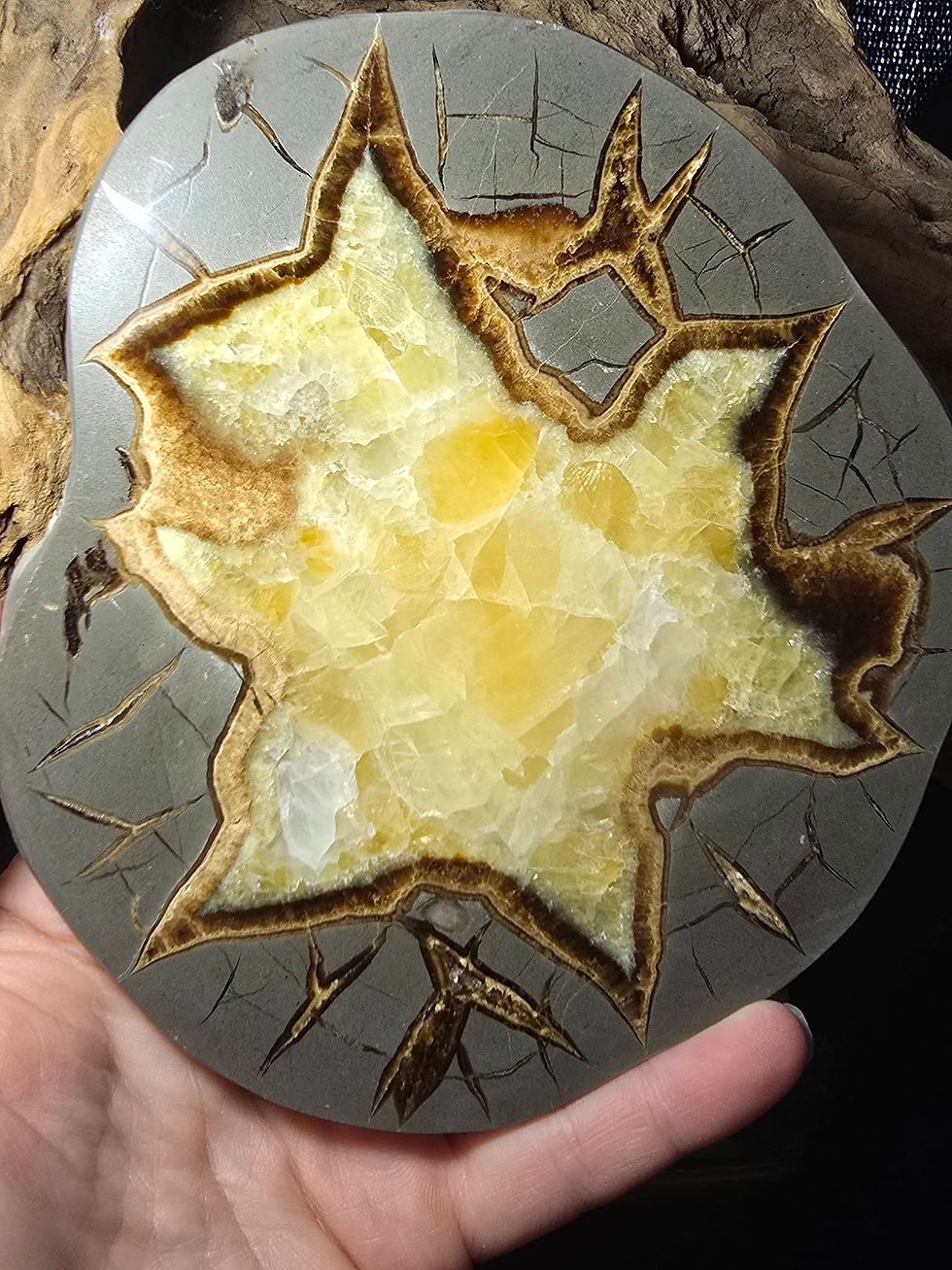 Thumbnail: septarian calcite slab hand held front view