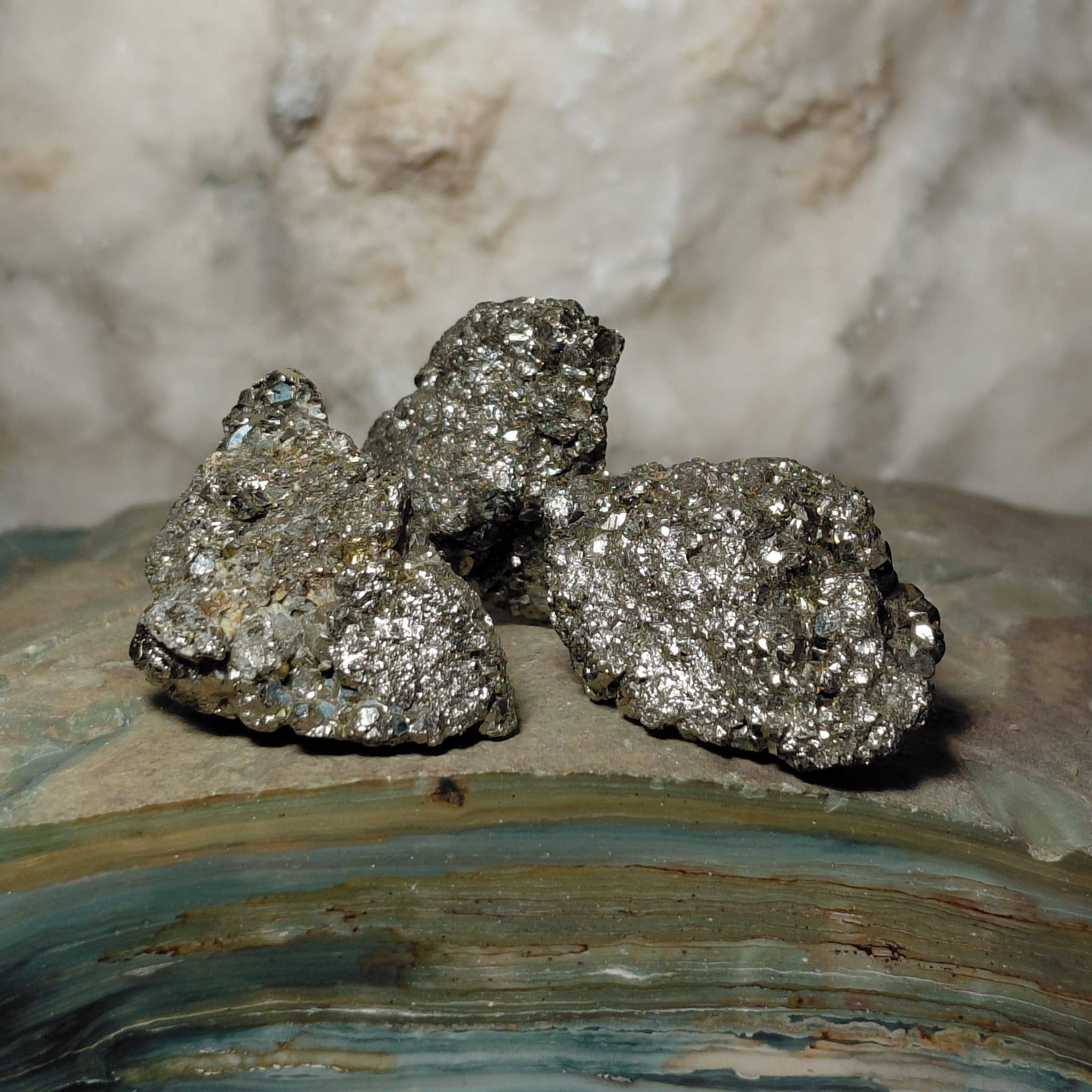 3 small pyrite clusters on a green fossil wood base